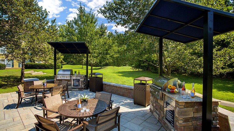 Outdoor Grills and Lounge Space