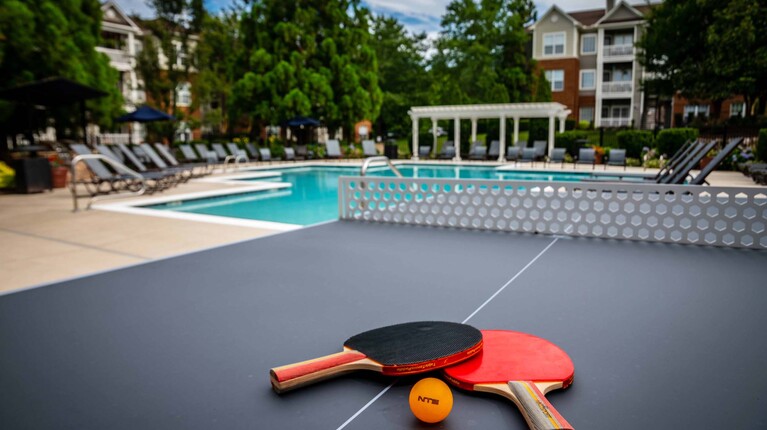 Outdoor Games and Ping Pong