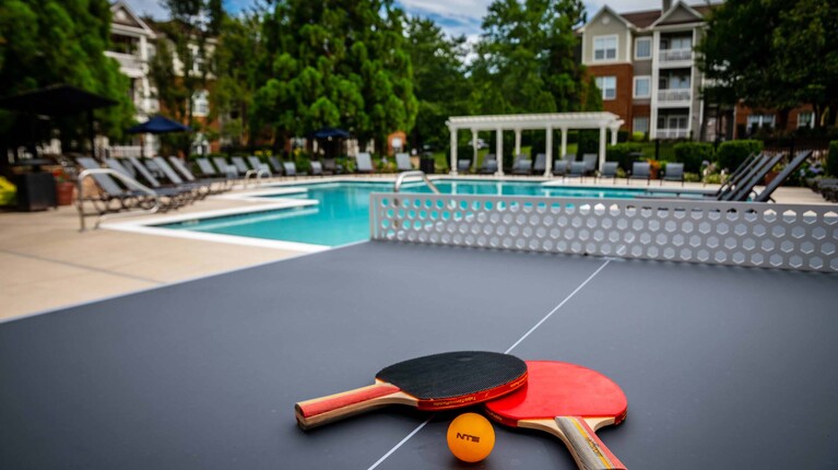 Outdoor Games and Ping Pong