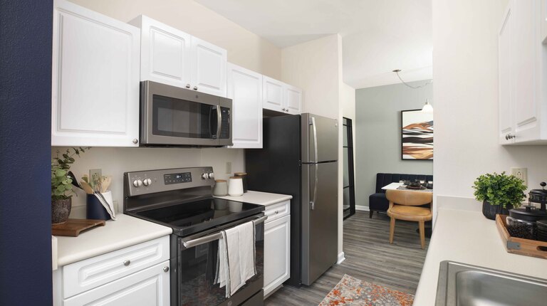 Modern Kitchen with Slate Appliances